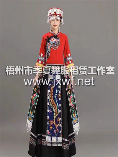 M2017少数民族服装女士演出服彝族白族土家族苗族瑶族侗族广西壮族服饰