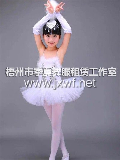 RT021六一儿童芭蕾舞裙演出服小天鹅舞蹈裙女童白纱裙芭蕾表演服蓬蓬裙