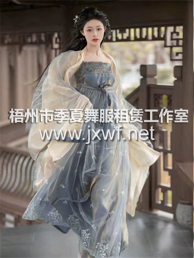 G2042唐制汉服女款春夏2024新款诃子裙大袖衫广袖流仙裙成人古装女仙气