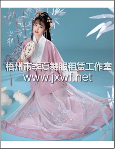 G2044女明制立领长衫刺绣比甲一片式马面裙套装