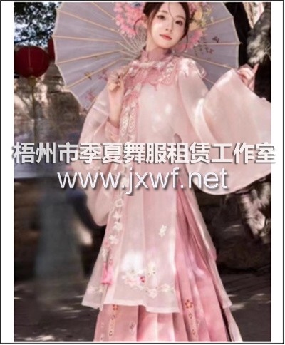 G2046藏月绣花未眠粉色明制云肩立领对襟长衫马面裙汉服女装春夏